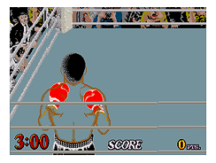 hwchamp.png