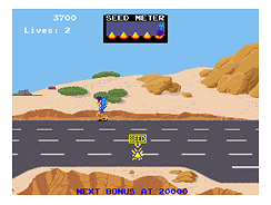 roadrunn.png